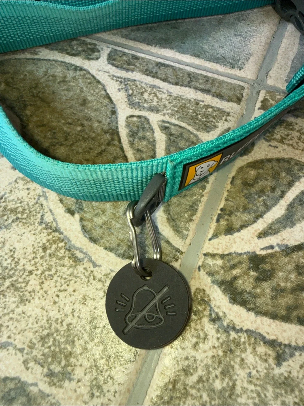 Ruffwear Turquoise Adjustable Dog Collar